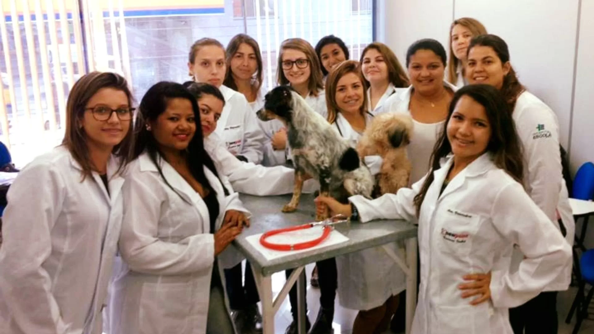 Alunos em sala de aula prática